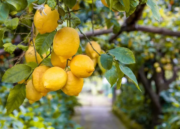 MarescaBed and Breakfast