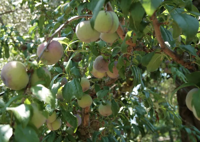 La Gaggia Guest House